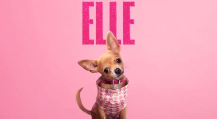 Prime Video sets premiere date for prequel to 'Legally Blonde'