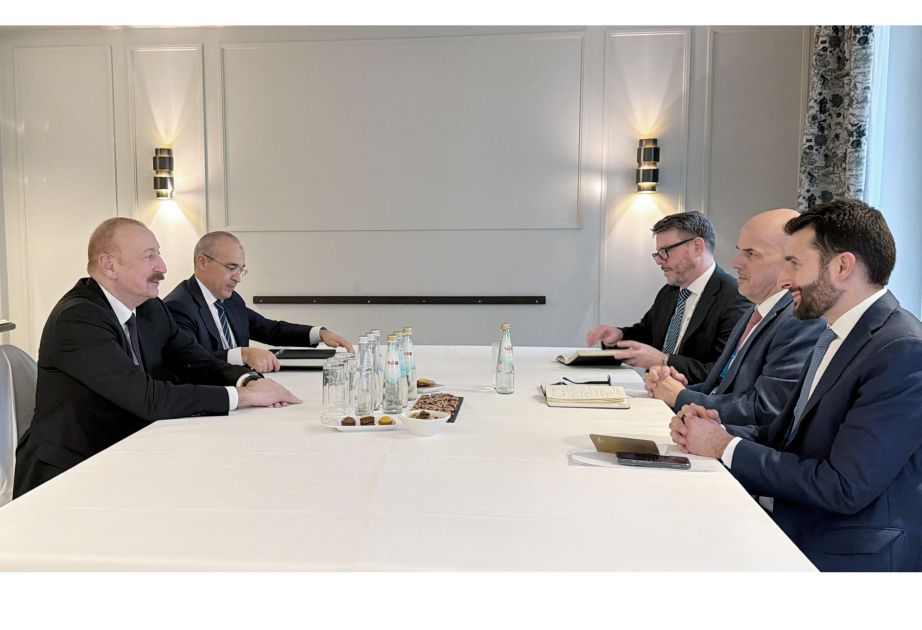 Azerbaijani President meets with CEO of Oracle Corporation in Munich