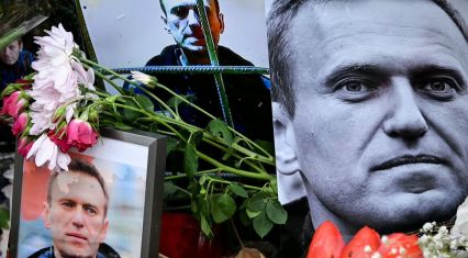Russia reportedly killed opposition leader Navalny using dart frog toxin