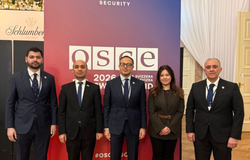 TURKPA and OSCE PA discuss expanded cooperation at 25th Winter Session in Vienna [PHOTOS]