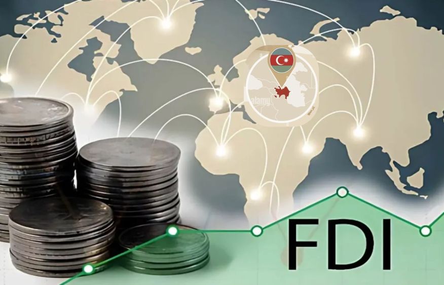 Domestic capital leads diversification as foreign funds focus on energy