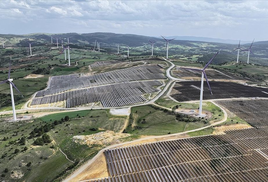 Renewable energy production rises in Turkiye