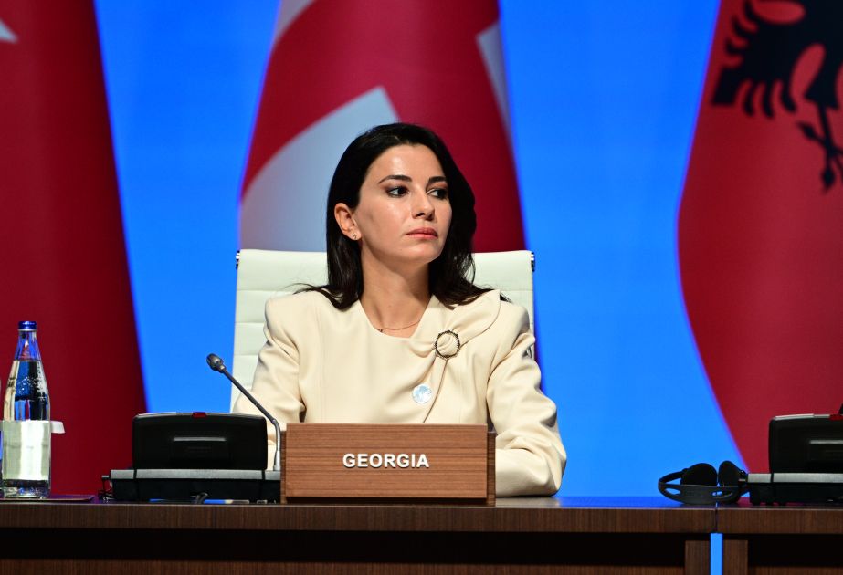 Georgia reaffirms commitment to Southern Gas Corridor and Black Sea Energy Cable