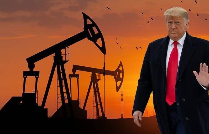 Trump claims Iran sending “hundreds of ships” to US for oil amid tensions