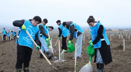 Nearly 1,500 trees planted in Shaki and Gabala within Green Marathon [PHOTOS]