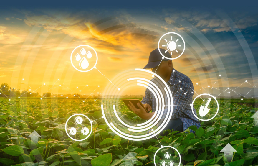 NZ, Ireland unite to advance climate-smart agriculture