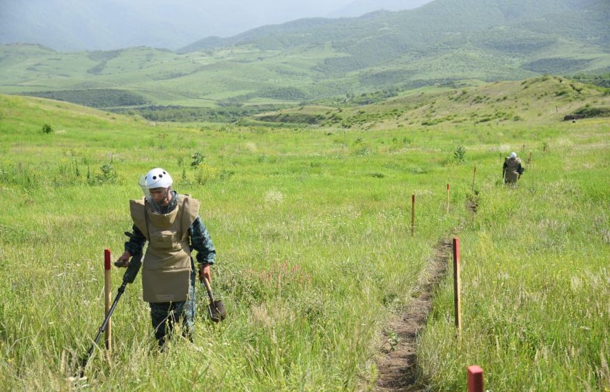 Azerbaijan to grant presidential pensions to family members of mine action victims - decree