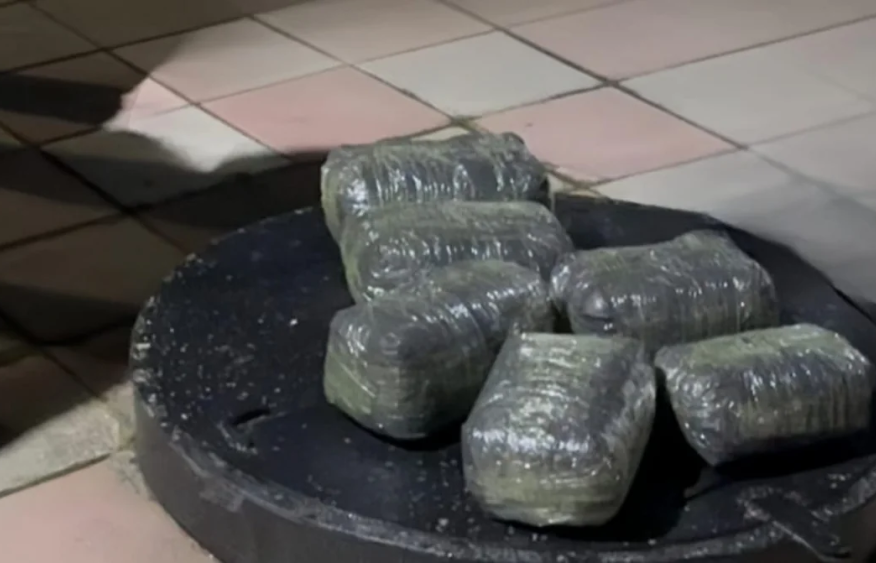 Over 43 kg of drugs seized in Azerbaijan as police dismantle smuggling group