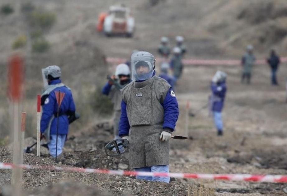 Landmine threat in Azerbaijan signals growing humanitarian crisis