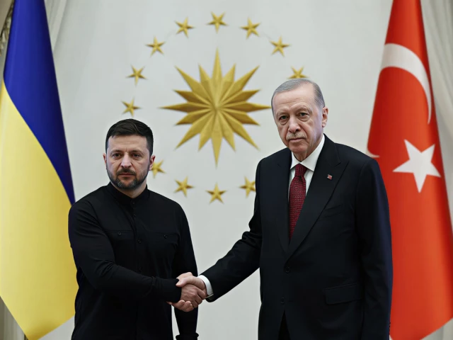Ukraine's Zelenskiy in Istanbul for security talks with Erdogan