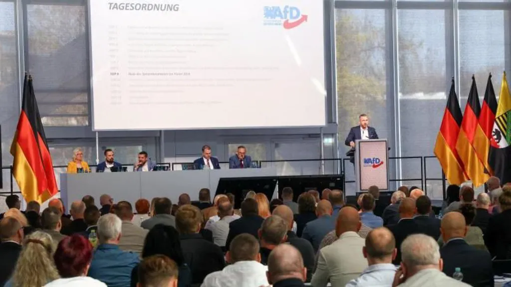 Germany's far-right AfD promises to fix nation by removing everything that currently exists in it