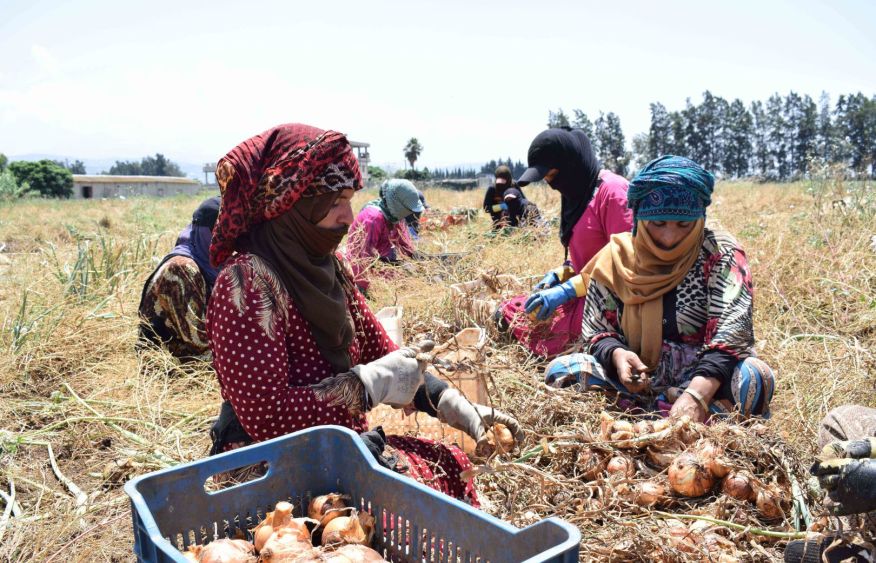 UN warns Iran conflict could push 32 million into poverty