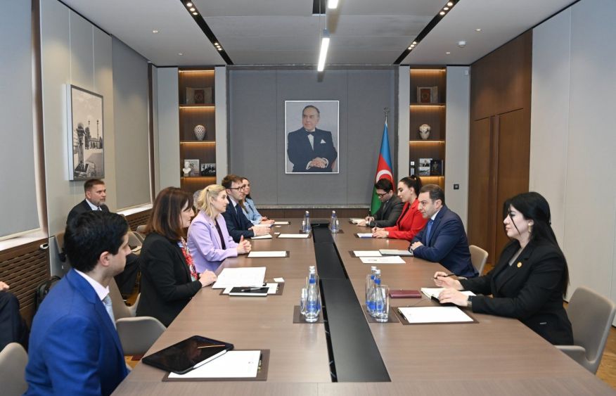 Azerbaijan, United States discuss strategic cooperation [PHOTOS]