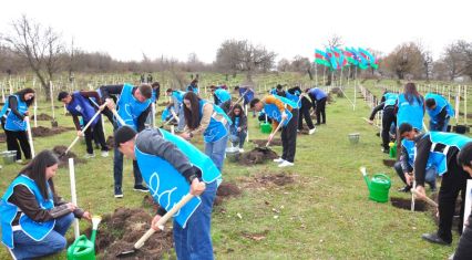 Over 6,500 trees planted in Azerbaijan's Gadabay