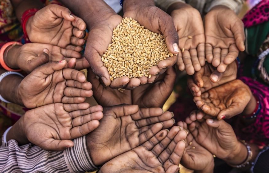 Global hunger intensifies as 266 million face acute food insecurity