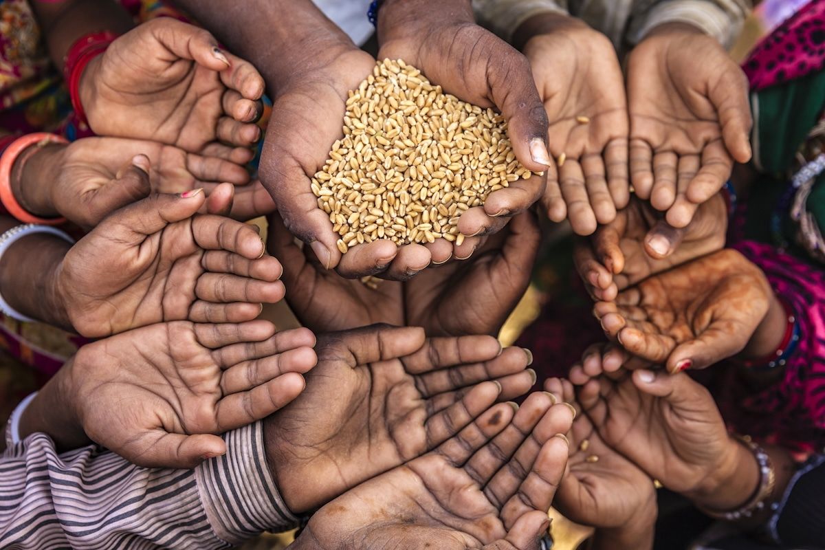 Global hunger intensifies as 266 million face acute food insecurity