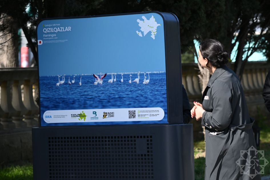 Slider Image 1
