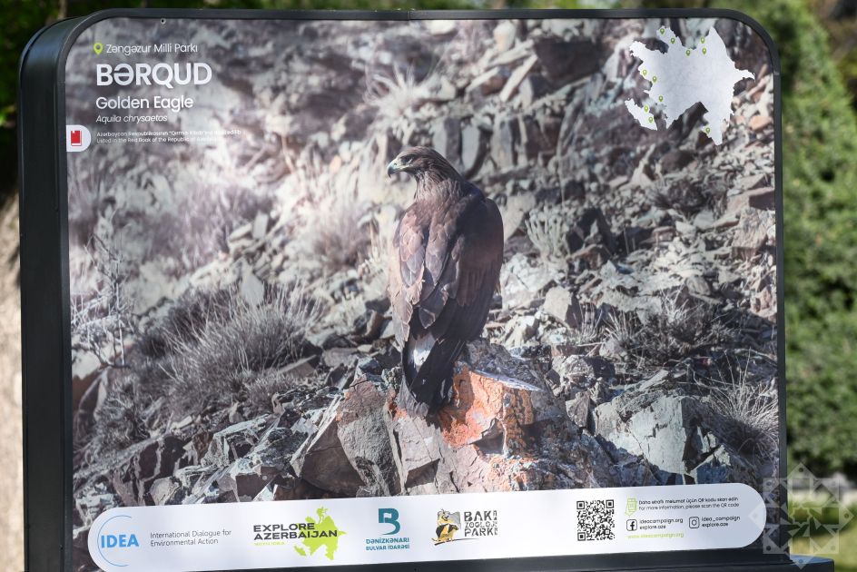 Slider Image 1