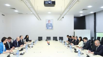 Baku, Belgrade discuss expanding bilateral economic cooperation