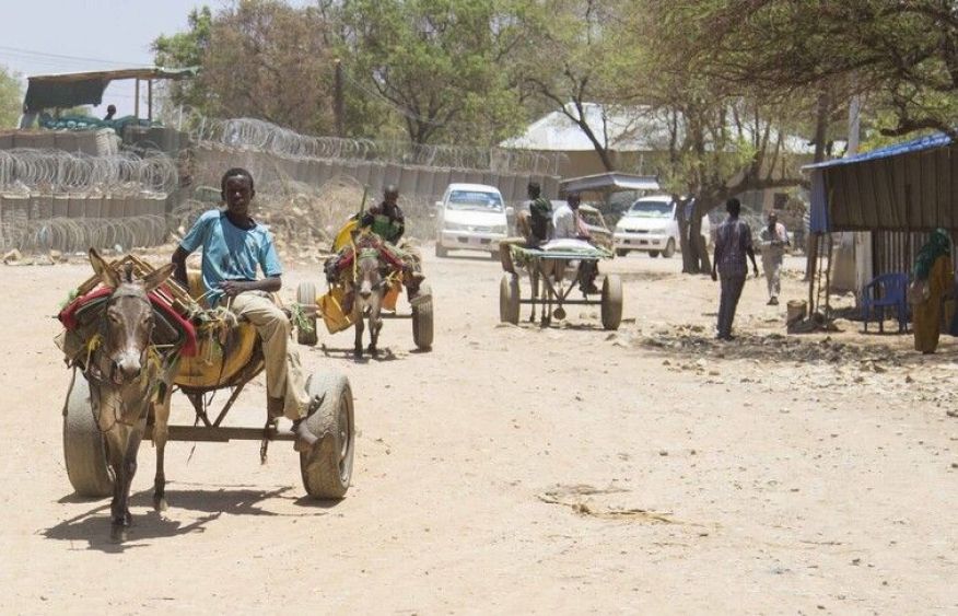 UN agencies warn Somalia at risk of renewed famine as hunger crisis deepens