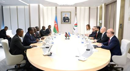 SOCAR head meets Kenyan President William Ruto to discuss energy cooperation