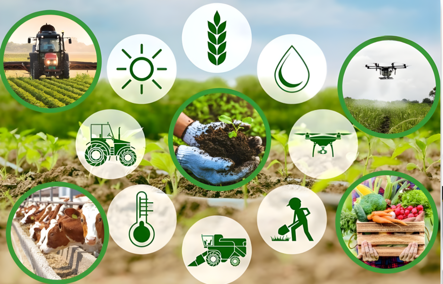 Azerbaijan launches multi-billion-dollar push to transform agriculture [OPINION]