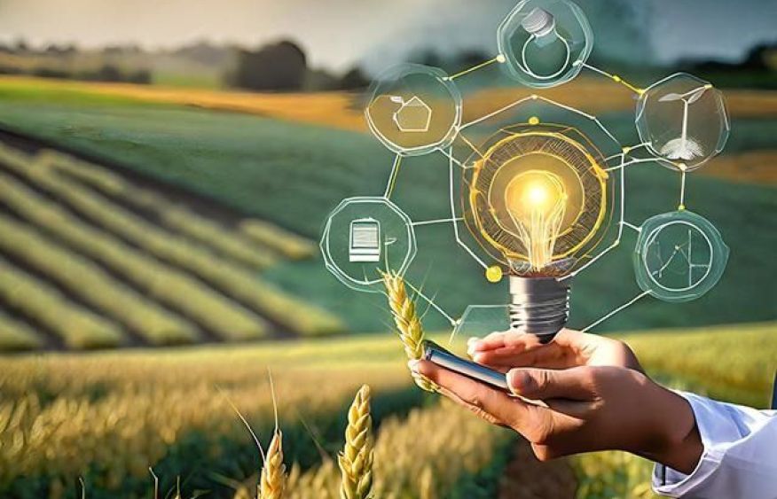 Azerbaijani agricultural miracle: triumph of strategy over geography