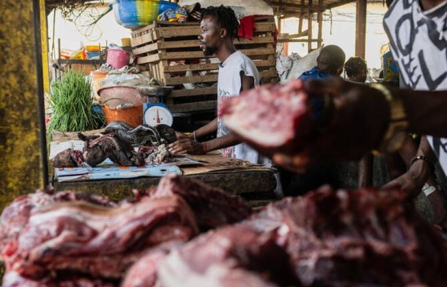 As Ebola scourges Congo, experts warn of link to eating wild animals