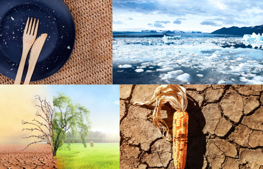 Climate change emerges as biggest threat to global food security