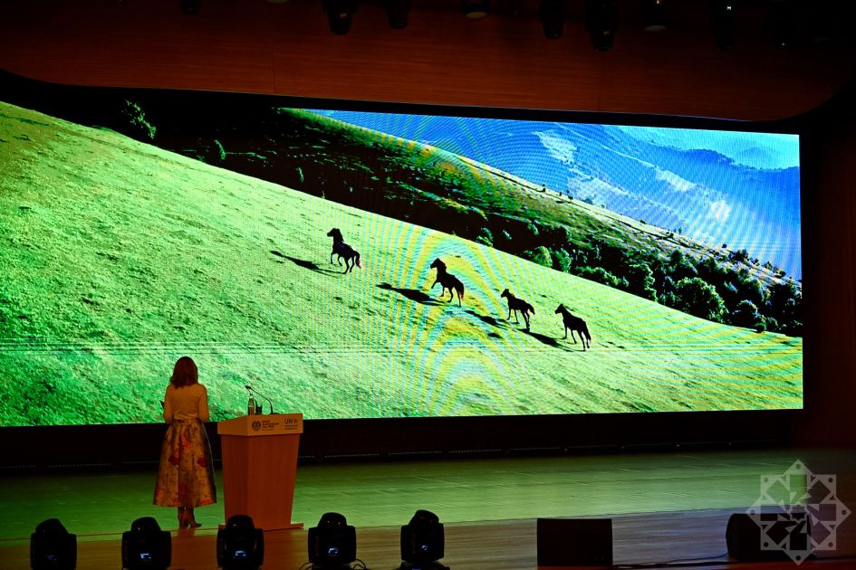 Slider Image 1