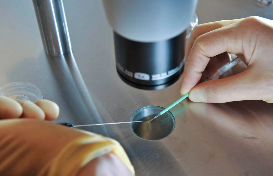 Scientists achieve first precise DNA editing in human embryos