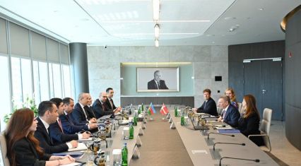 Azerbaijan and Denmark discuss expanding economic cooperation