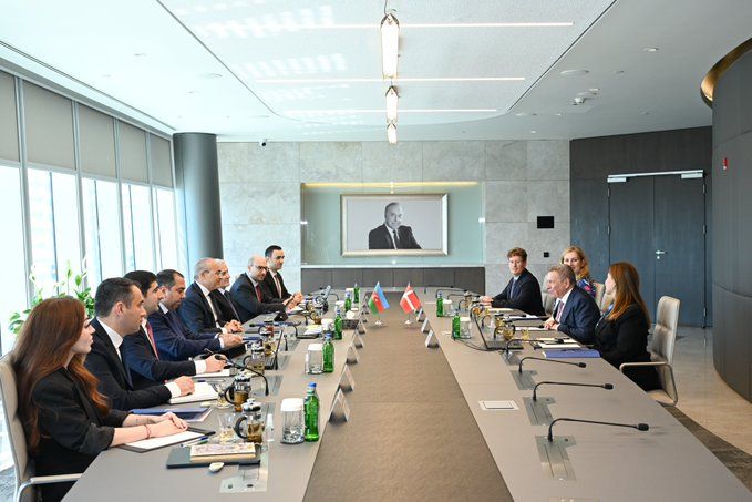 Azerbaijan and Denmark discuss expanding economic 