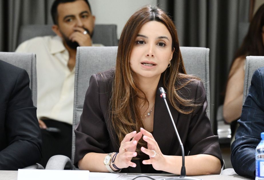 Azerbaijan moves to strengthen child protection ru