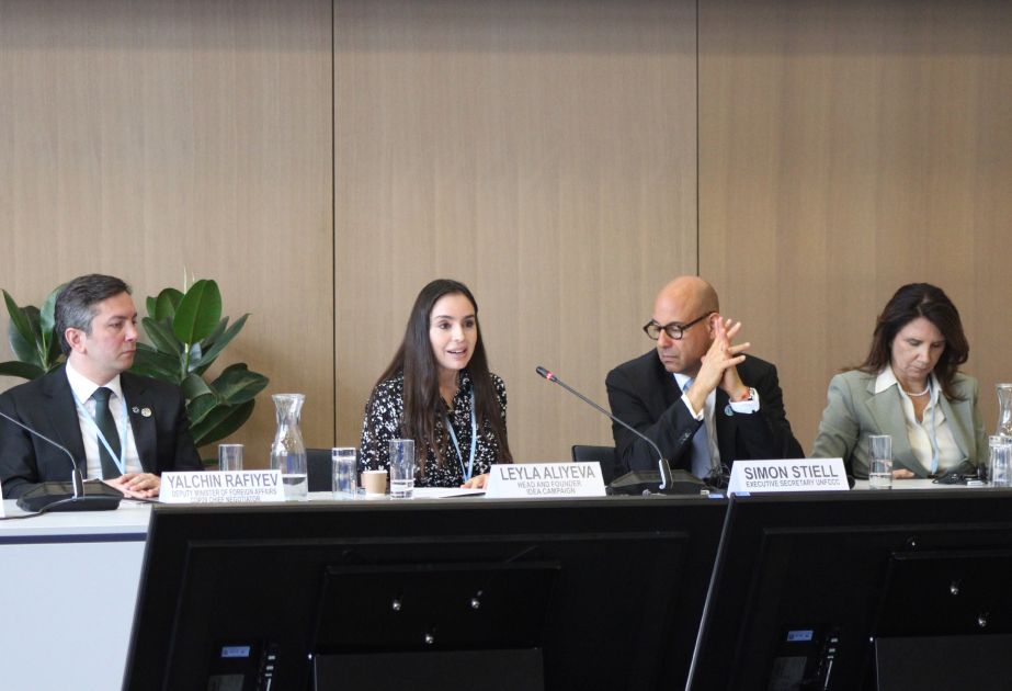 Leyla Aliyeva joins discussions on Caspian Sea level decline in Bonn [PHOTOS]