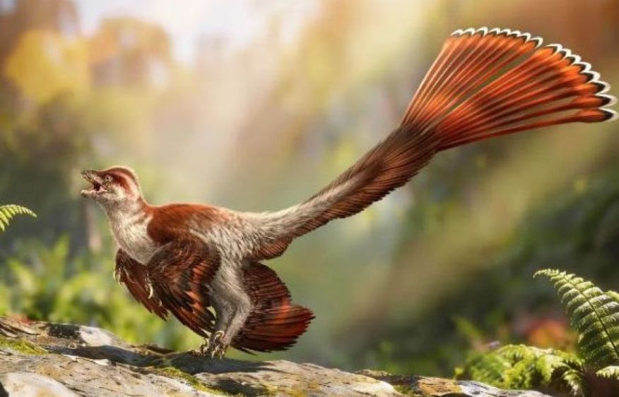 China found new feathered dinosaur