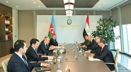 Baku, Cairo explore wider economic ties [PHOTOS]