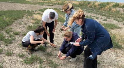 Shirvan Plain: Living landscape of rare plants and changing ecosystems [PHOTOS]