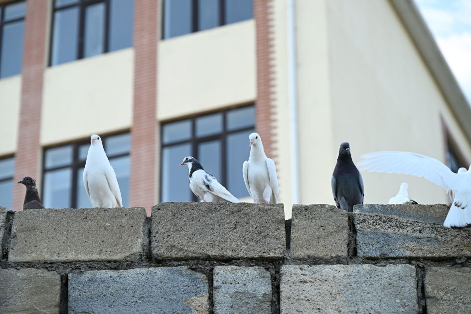 Slider Image 1