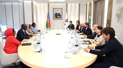 SOCAR, PETROCI Holding discuss expanding energy cooperation