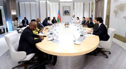 SOCAR, Zimbabwe discuss energy cooperation