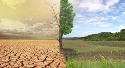 Scientists investigate drought risks and desertification in Azerbaijan