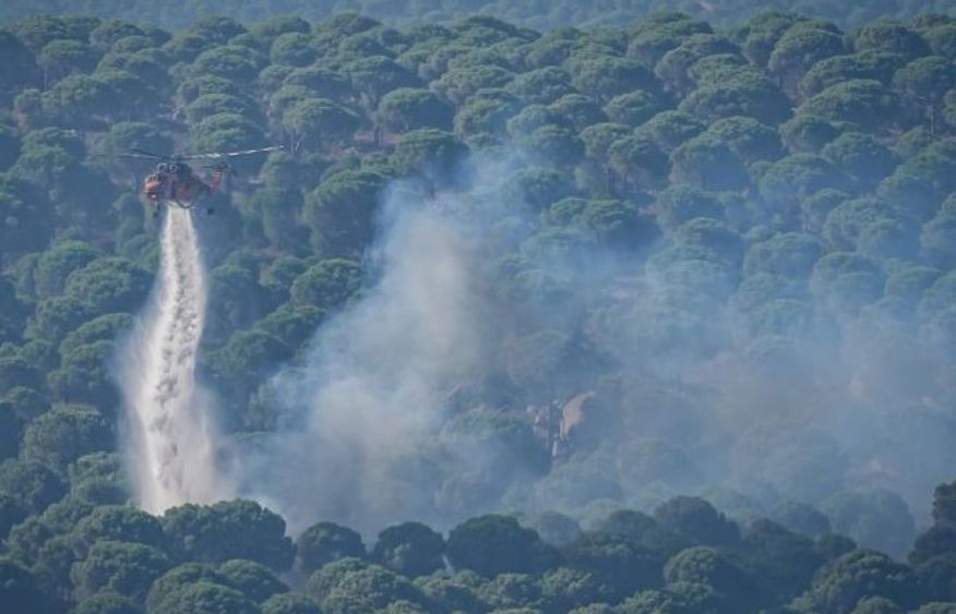 Türkiye detains 43 suspects over forest fires
