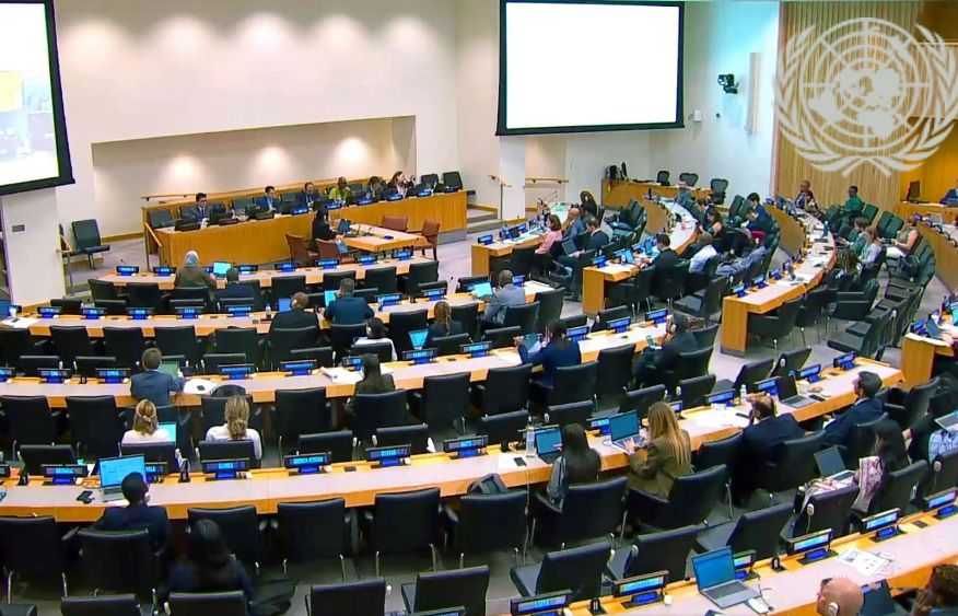Azerbaijan participates in UN negotiations on international tax cooperation [PHOTO]