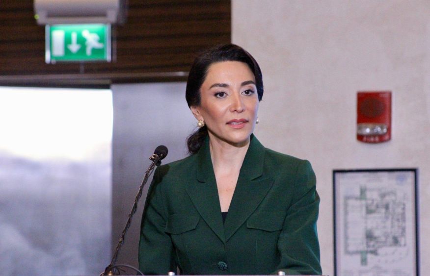 Azerbaijan Ombudsman rejects Armenian rights advocate’s allegations as unfounded