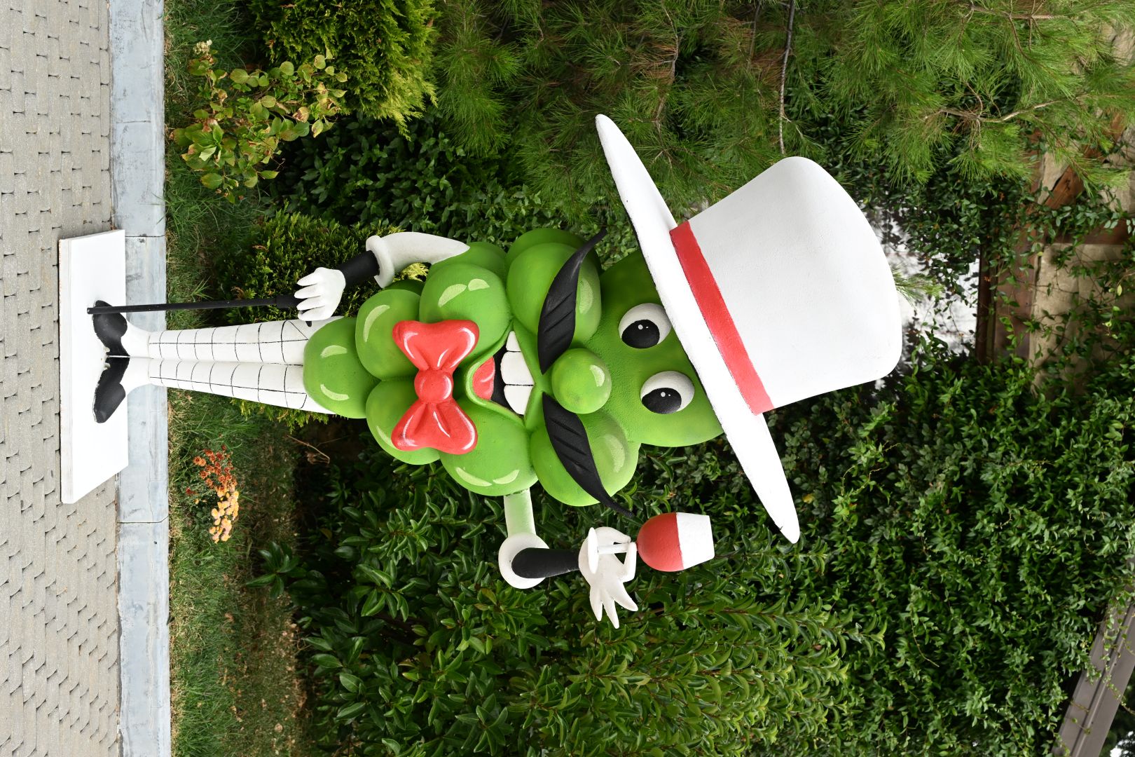 Slider Image 1