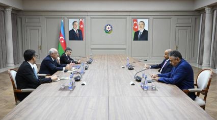 Azerbaijan PM, World Aquatics President exchange views on swimming development [PHOTOS]