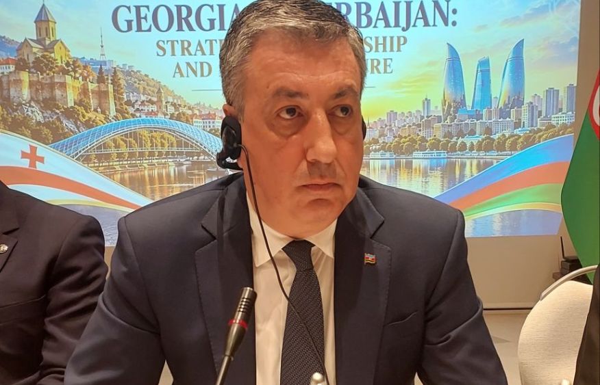 Azerbaijan, Georgia aim to strengthen strategic economic partnership