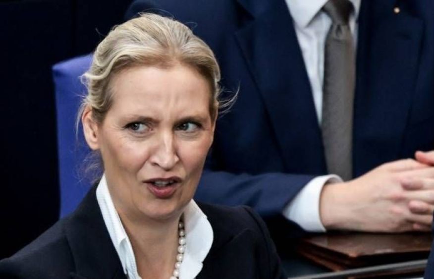 AfD's Weidel: French protests 'warning signal' for Germany