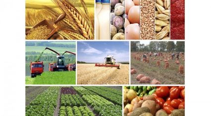 Agricultural and agro-industrial exports surpass $1 billion in nine months